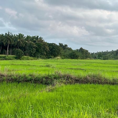 Green Haven Holiday Home Anuradhapura Exterior photo