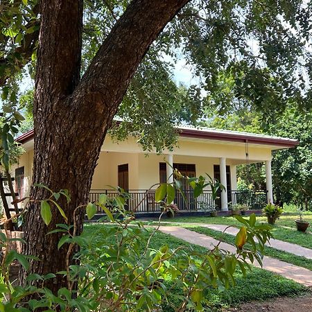 Green Haven Holiday Home Anuradhapura Exterior photo