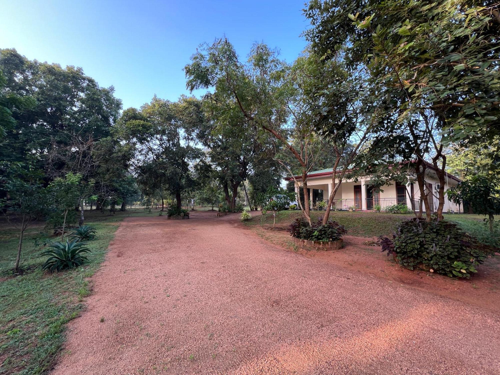 Green Haven Holiday Home Anuradhapura Exterior photo