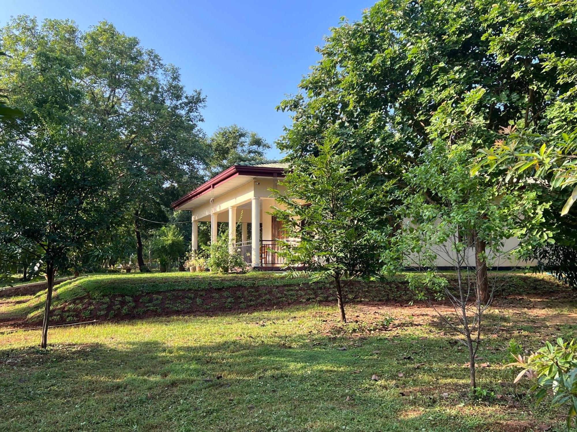 Green Haven Holiday Home Anuradhapura Exterior photo