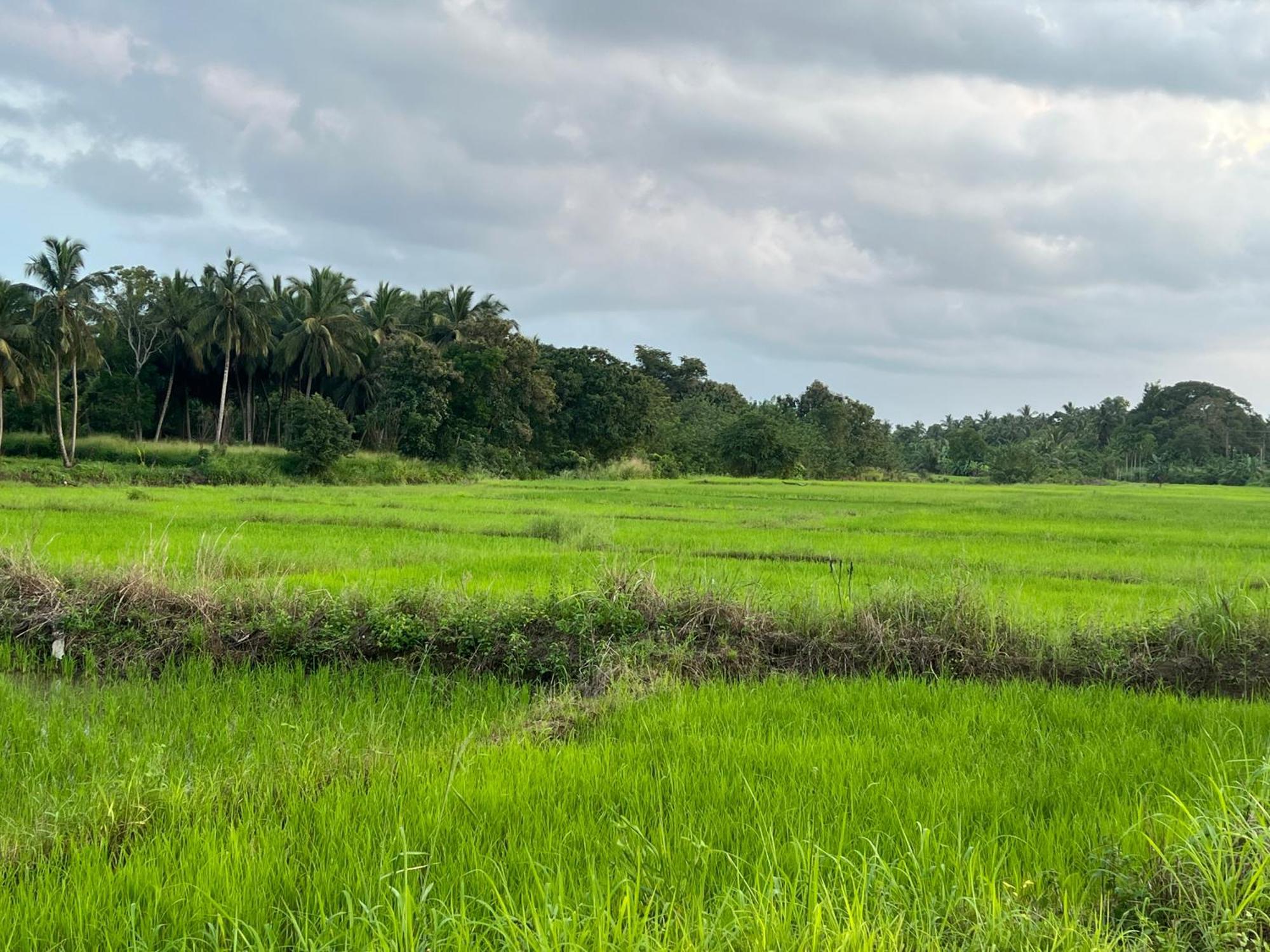 Green Haven Holiday Home Anuradhapura Exterior photo