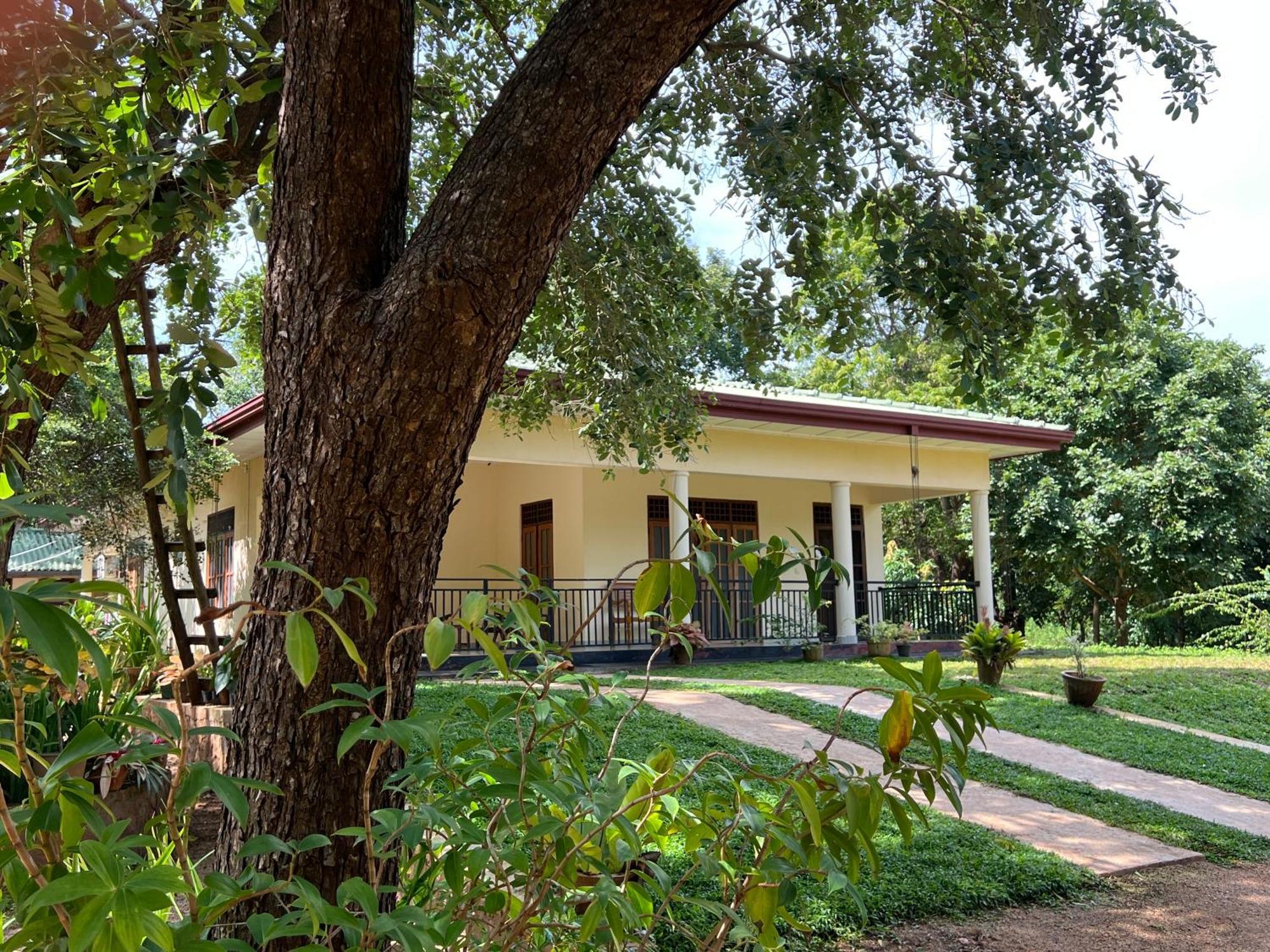 Green Haven Holiday Home Anuradhapura Exterior photo